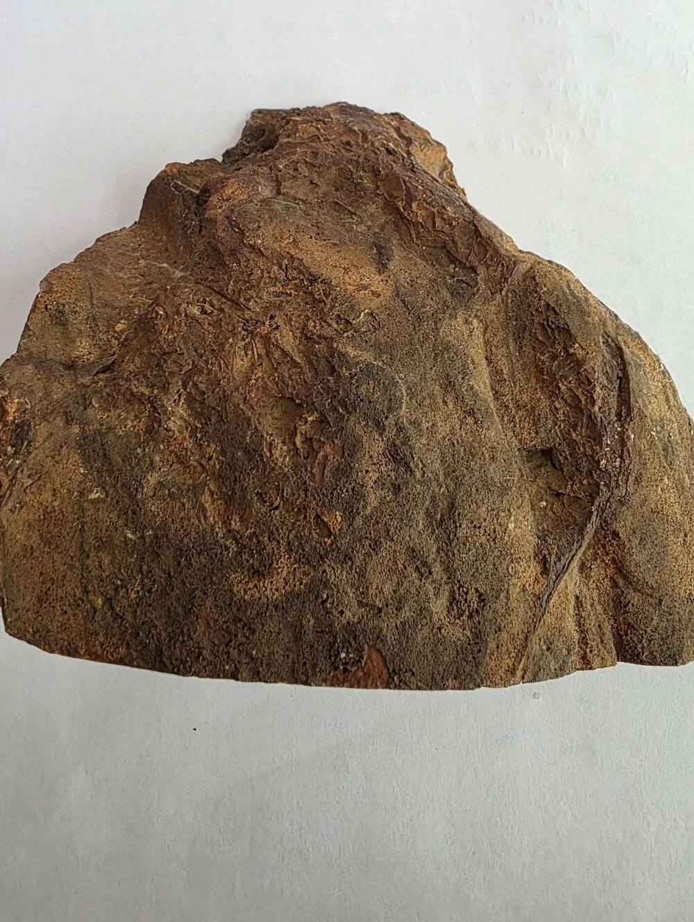 Brown Condor Agate Decorative Bookend - Unbranded